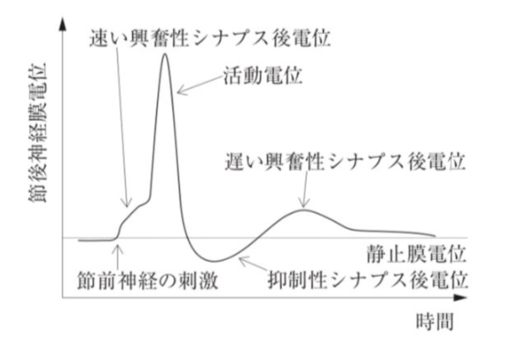 解説画像